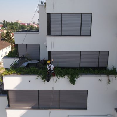 Gärtnererarbeiten an Fassade mit Industriekletterer